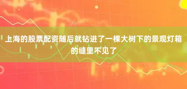 上海的股票配资随后就钻进了一棵大树下的景观灯箱的缝里不见了