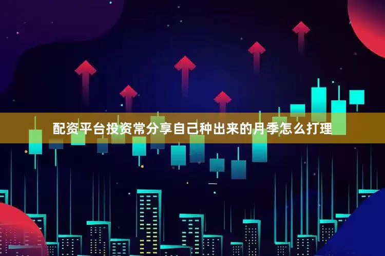 配资平台投资常分享自己种出来的月季怎么打理