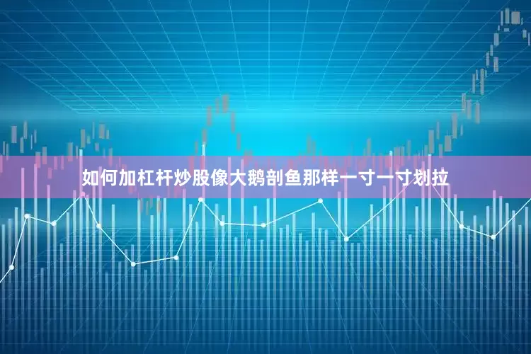 如何加杠杆炒股像大鹅剖鱼那样一寸一寸划拉