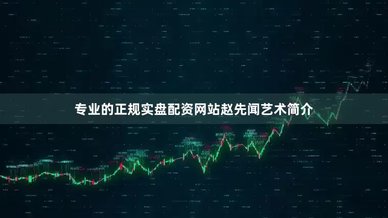 专业的正规实盘配资网站赵先闻艺术简介