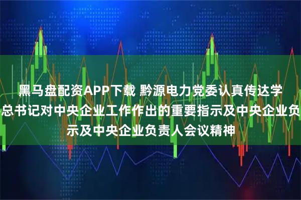 黑马盘配资APP下载 黔源电力党委认真传达学习贯彻习近平总书记对中央企业工作作出的重要指示及中央企业负责人会议精神