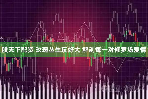 股天下配资 玫瑰丛生玩好大 解剖每一对修罗场爱情