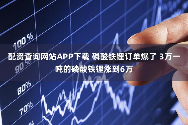 配资查询网站APP下载 磷酸铁锂订单爆了 3万一吨的磷酸铁锂涨到6万